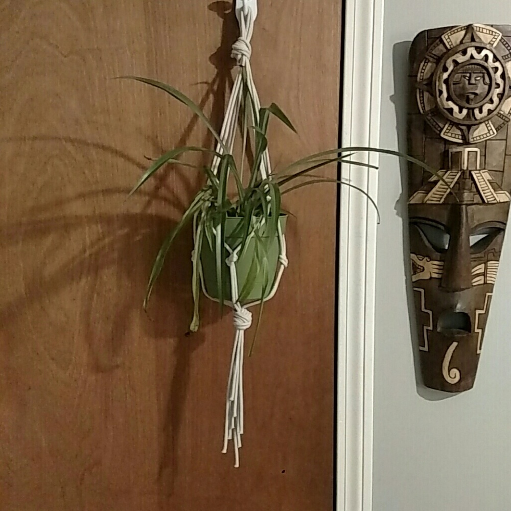 Macrame plant hanger🌱